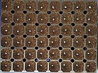 TS-48F Seedling Tray