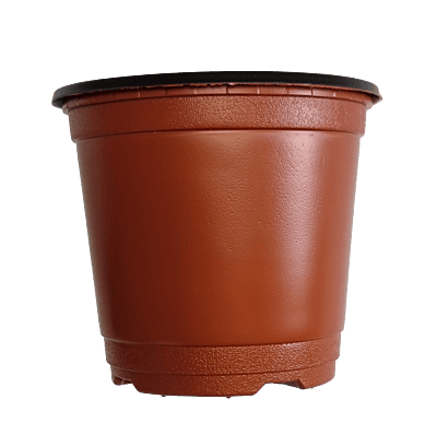 BN 100 Pot (2000 Pots)