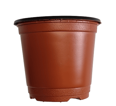 BN 120 Pot (1500 Pots)