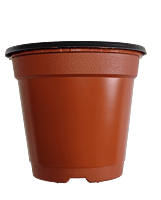 BN 140 Pot (800 Pots) BN 140 Pot (800 Pots)