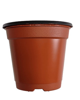 BN 140 Pot (800 Pots)