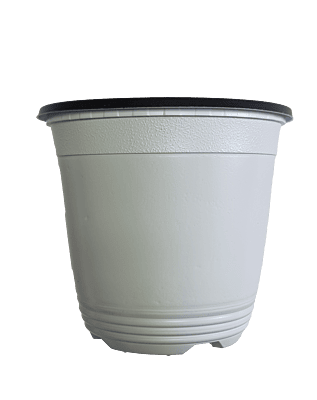 BN 150 Pot (600 Pots)