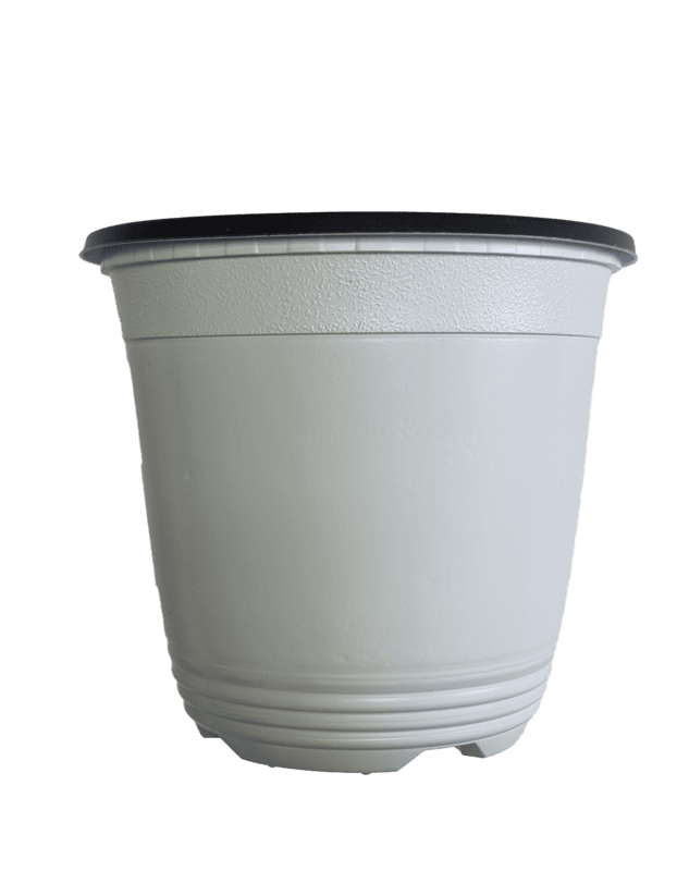 BN 150 Pot (600 Pots) BN 150 Pot (600 Pots)