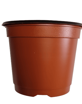 BN 180 Pot (450 Pots)