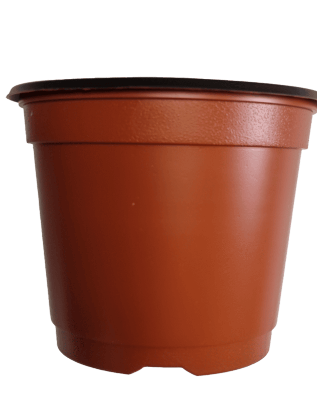 BN 180 Pot (450 Pots) BN 180 Pot (450 Pots)