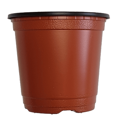 BN 90 Pot (2700 Pots)